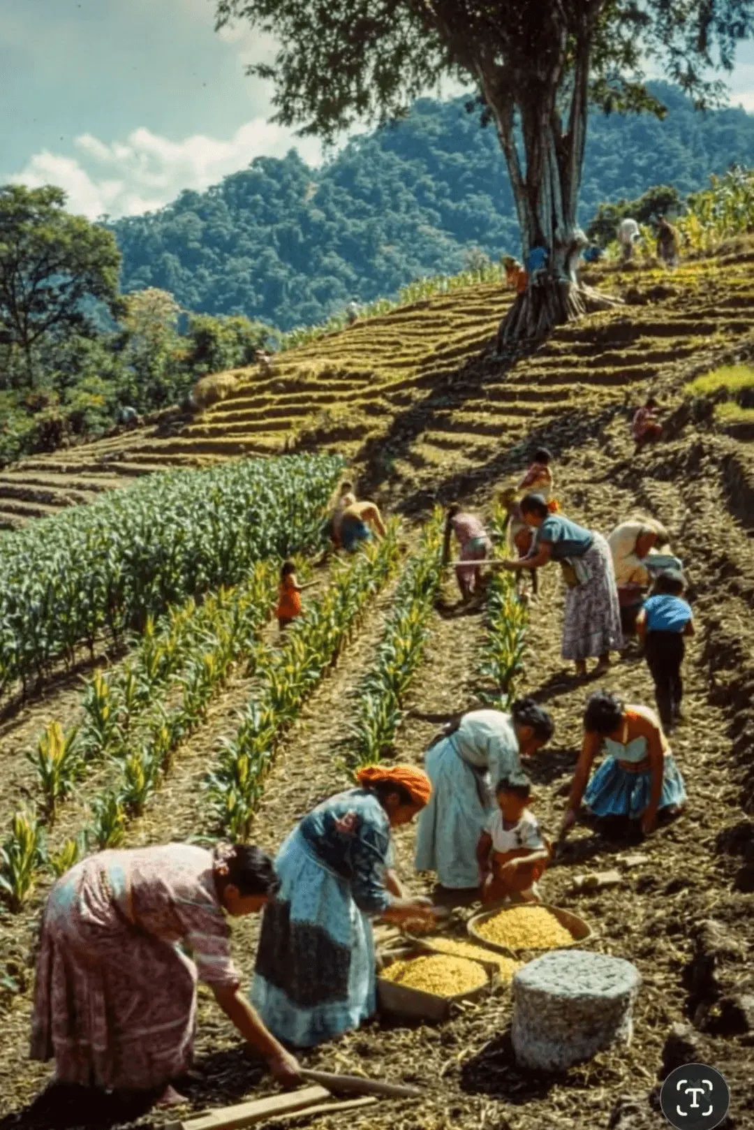 Rural Farm & Nature Visits, ALMAR culture service in Colombia.