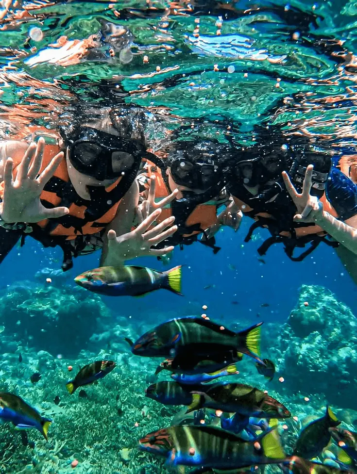 San Andrés Diving Escape, ALMAR private adventure experience in Colombia.