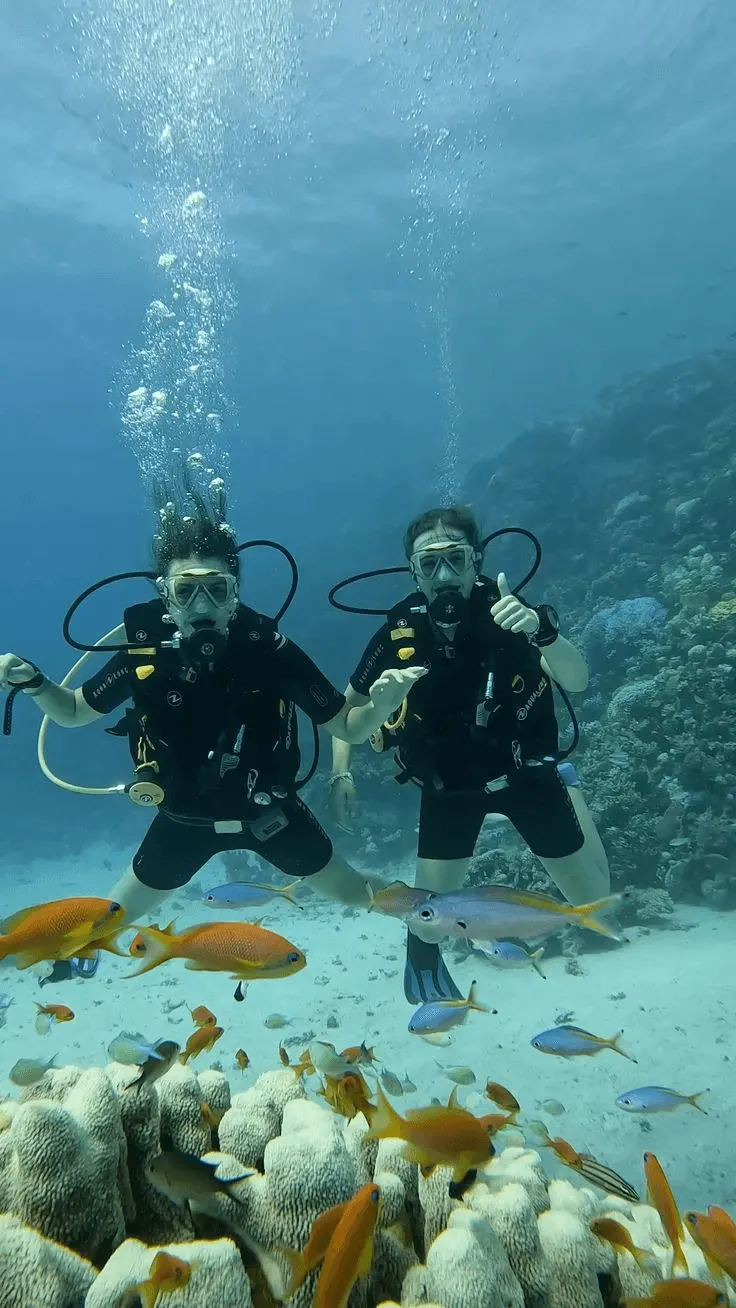 Scuba Diving Expeditions, ALMAR marine service in Colombia.